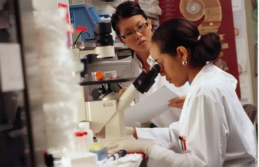 two researchers in a laboratory